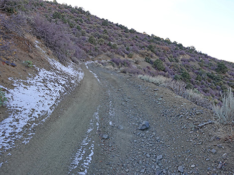 Cabin Canyon Road