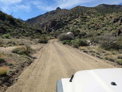 Cabin Canyon Road