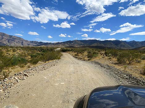 Cabin Canyon Road