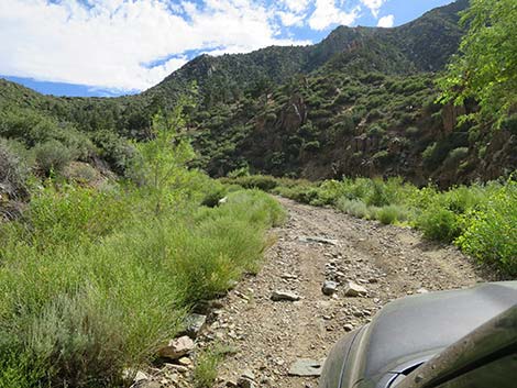 Cabin Canyon Road