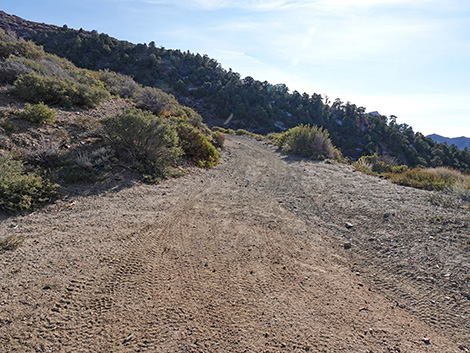 Upper Upper Nickel Canyon Road