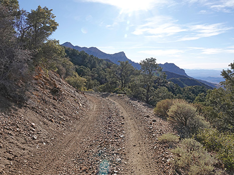 Upper Upper Nickel Canyon Road