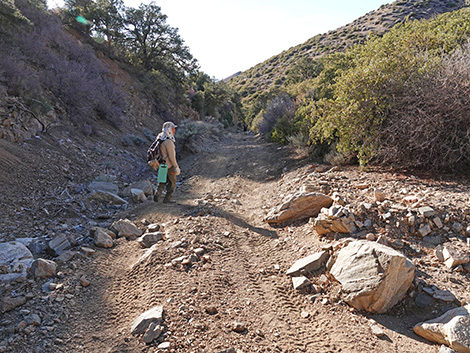 Upper Upper Nickel Canyon Road