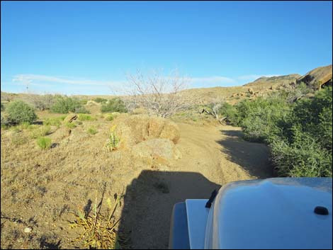 Gold Butte Peak Road