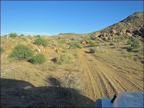 Gold Butte Peak Road