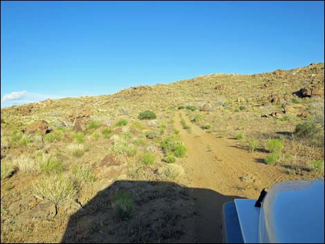 Gold Butte Peak Road