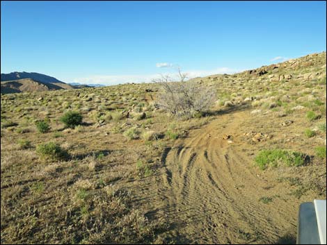 Gold Butte Peak Road