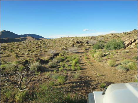 Gold Butte Peak Road