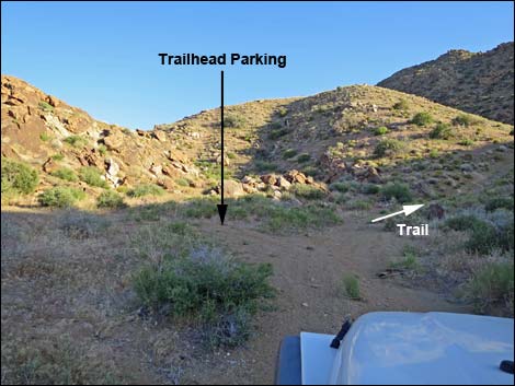 Gold Butte Peak Road