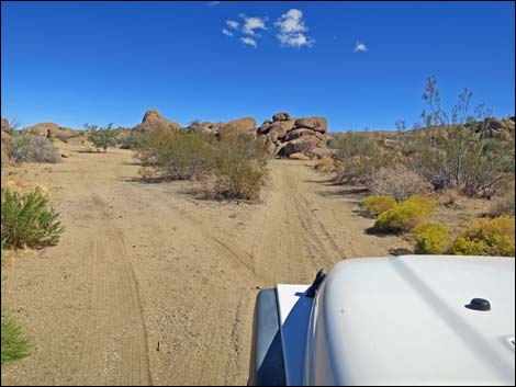 Gold Butte Peak Road