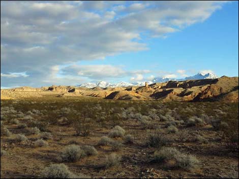 Gold Butte Road