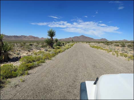 Gold Butte Road