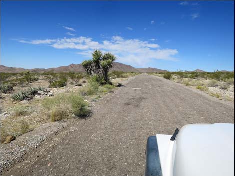 Gold Butte Road