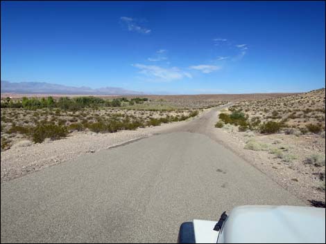 Gold Butte Road