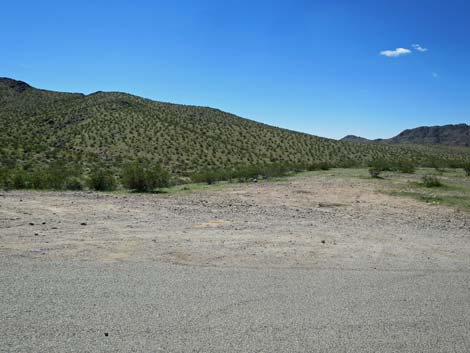 Gold Butte Road