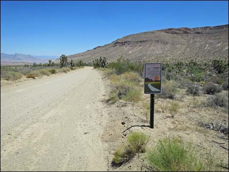 Gold Butte Road