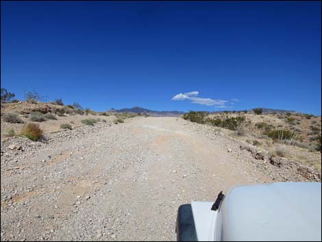 Gold Butte Road