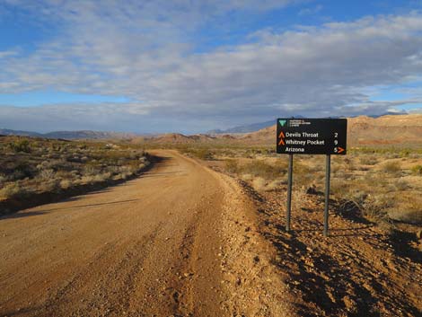 Gold Butte Road