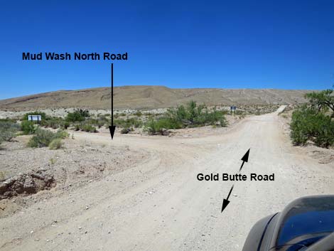 Gold Butte Road