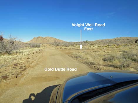 Gold Butte Road