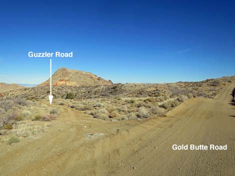 Gold Butte Road