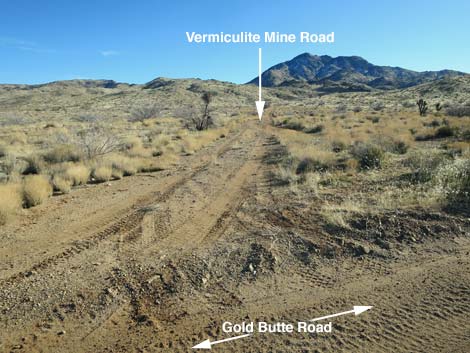 Gold Butte Road