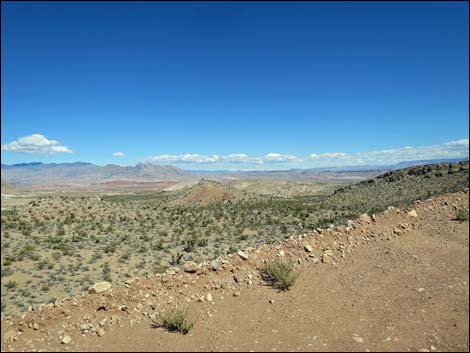 Gold Butte Road