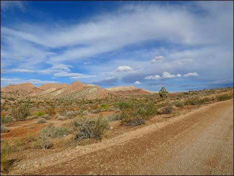 Gold Butte Road