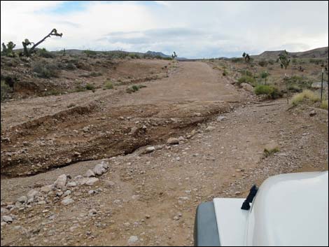 Gold Butte Road