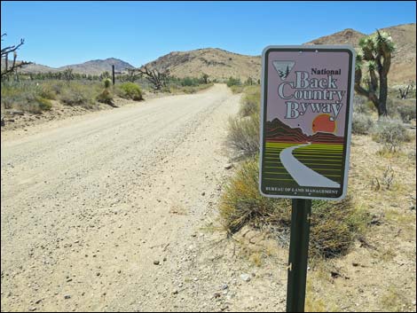 Gold Butte Road