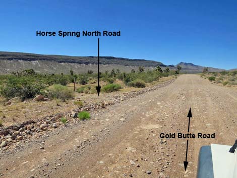 Gold Butte Road