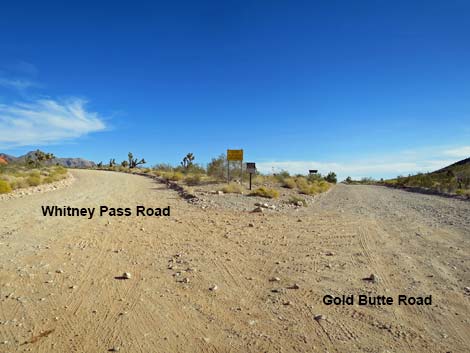 Gold Butte Road