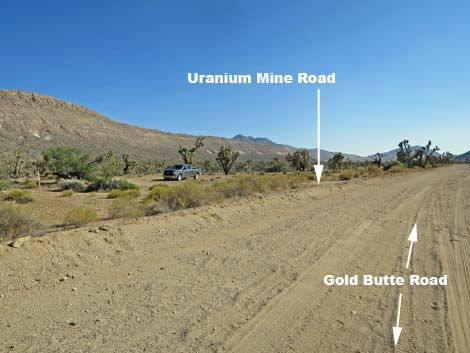 Gold Butte Road