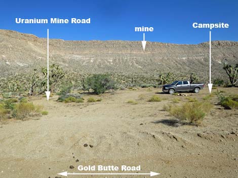 Gold Butte Road