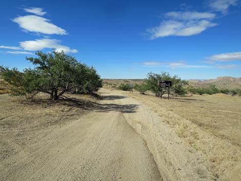 Gold Butte Road