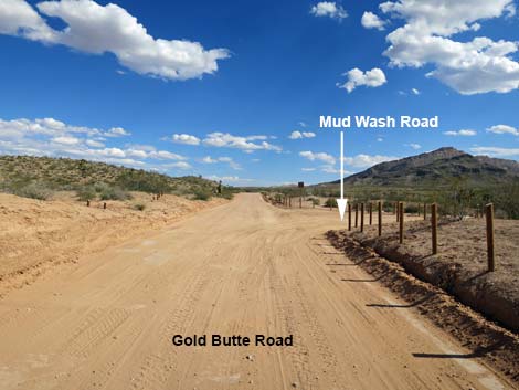 Gold Butte Road