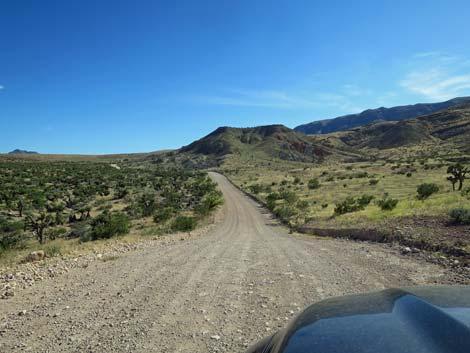 Gold Butte Road