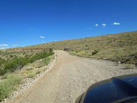 Gold Butte Road