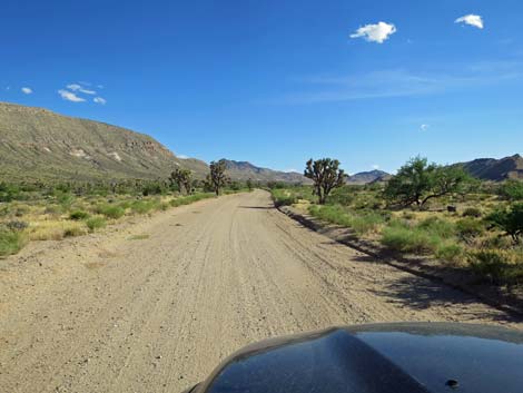 Gold Butte Road