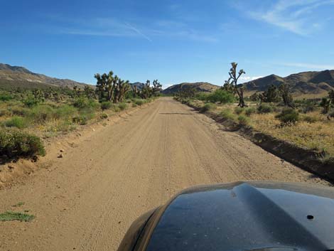 Gold Butte Road