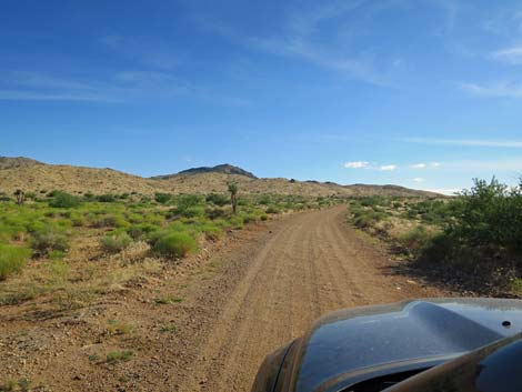 Gold Butte Road