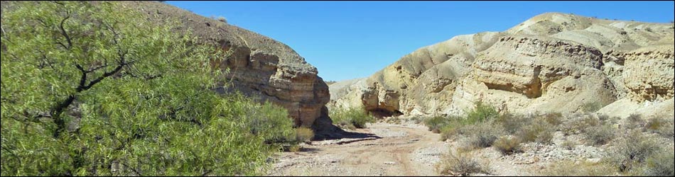 Gold Butte Wash Road