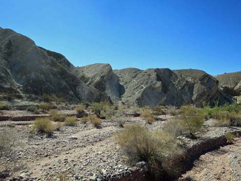 Gold Butte Wash Road