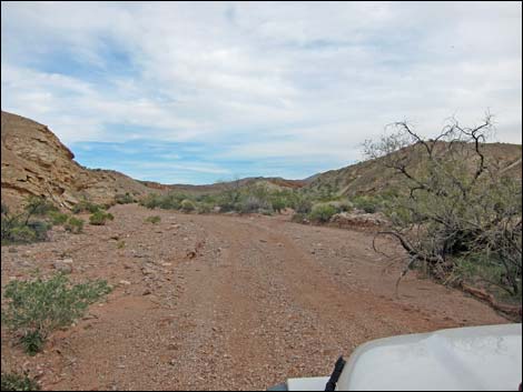 Gold Butte Wash Road