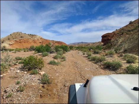 Gold Butte Wash Road