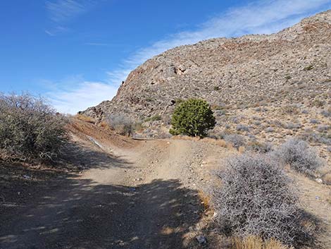 Hen Spring Canyon Road