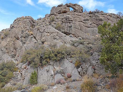 Hen Spring Canyon Road