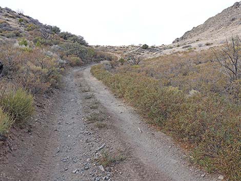 Hen Spring Canyon Road