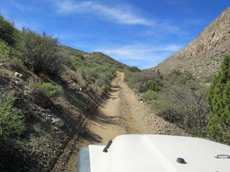 Hen Spring Canyon Road