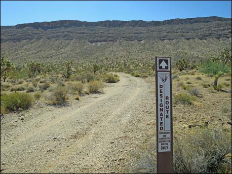 Horse Spring Road